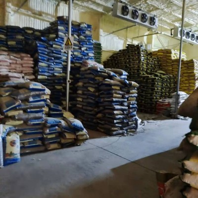 现货供应小麦五谷杂粮白麦子新麦子农家饲料小麦粒带皮小麦全麦