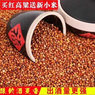 现货供红高粱东北红高粱酿酒用的糯高粱高粱米去壳带皮高粱红高粱图5