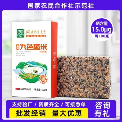 富硒九色糙米五谷杂粮饭健身粗粮主食九色糙米饭团配方米新米批发图5