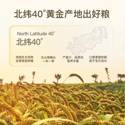 泥河湾有机黄小米宝宝农家黄小米2025年新米一级黄小米杂粮图3