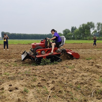 小型履带旋耕机 山地乘坐式耕地翻土机 大棚草莓起垄培土耕地机图2