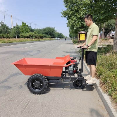 汽油运输手推车 建筑砂石搬砖运输车 山地工地搬运车图3