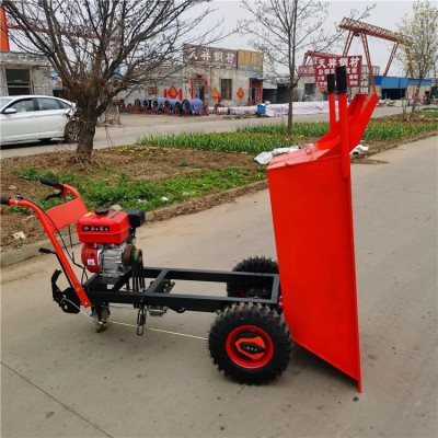 汽油运输手推车 建筑砂石搬砖运输车 山地工地搬运车图2
