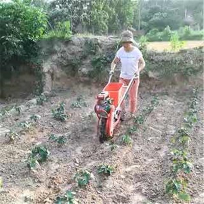 独轮小型链轨履带微耕机开沟耕地除草犁地翻土机农用茶园微耕机价图3