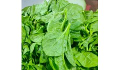 今天是谷雨，哪些蔬菜不能再种植？随便种不仅长不好还没产量