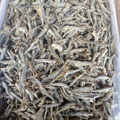 散装水产干货去头小鱼干 公干鱼 麻辣熟食小鱼仔原材料供应图4