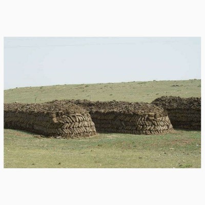 内蒙古干羊粪羊粪蛋 厂家批发瓜果蔬菜发酵羊粪 花卉有机肥