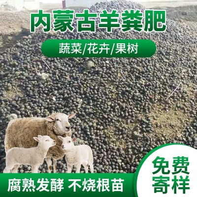 内蒙古黄袋子发酵羊粪蛋蛋腐熟盆栽肥料化肥羊粪颗粒果园纯羊粪肥图5