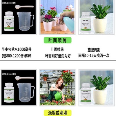 磷酸二氢钾花肥料盆栽家用通用型植物花卉叶面肥磷钾肥养花复合肥图3