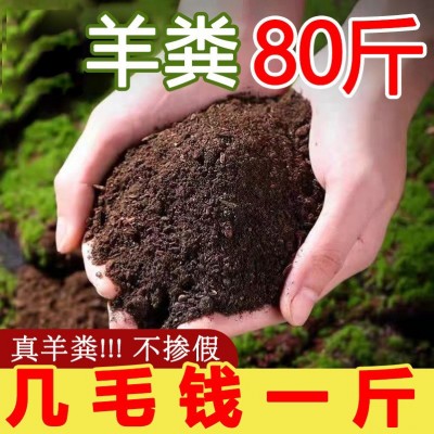 羊粪肥发酵有机肥料粉剂果园大棚用肥羊粪高温发酵有机菌肥图5