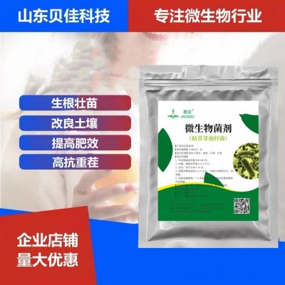 枯草芽孢杆菌农用微生物菌肥生根壮苗改良生物质土壤专用水溶菌剂图5