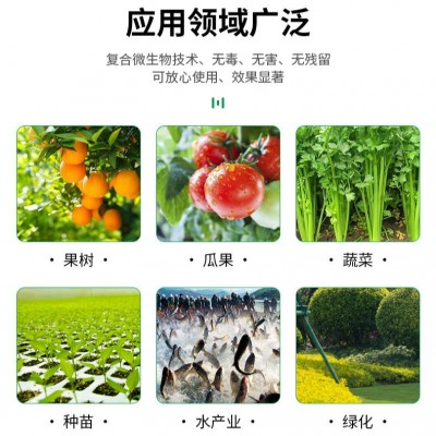 新型 闪溶 膨化 磷酸二氢钾 出口臻品图3