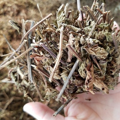 亚马逊福建仙草凉粉草1kg 无土凉茶饮料原料 仙草冻 邱福平福建仙图4