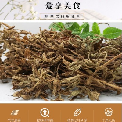 亚马逊福建仙草凉粉草1kg 无土凉茶饮料原料 仙草冻 邱福平福建仙图3
