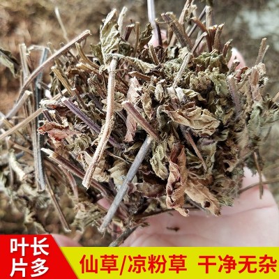 亚马逊福建仙草凉粉草1kg 无土凉茶饮料原料 仙草冻 邱福平福建仙图5