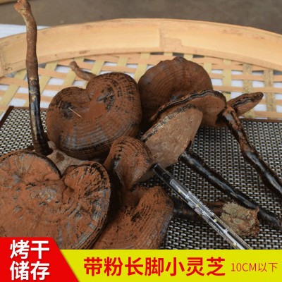 农产品500g椴木紫灵芝 不苦带粉长脚黑灵芝 跨境外贸10cm长柄灵芝图4