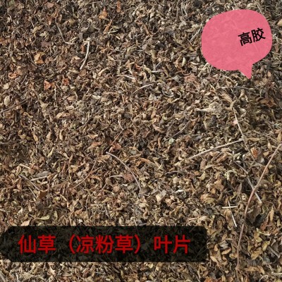 跨境外贸仙草凉粉草叶片5kg做烧仙草冻龟苓膏果冻布丁龟苓膏原料图5