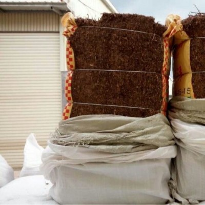 跨境外贸仙草凉粉草叶片5kg做烧仙草冻龟苓膏果冻布丁龟苓膏原料图2