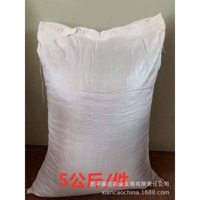 跨境外贸仙草凉粉草叶片5kg做烧仙草冻龟苓膏果冻布丁龟苓膏原料