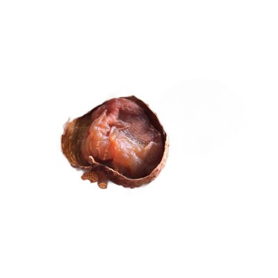 壳薄肉厚小籽中果荔枝干500g/装 2025新货广西鸡嘴荔枝干果批发