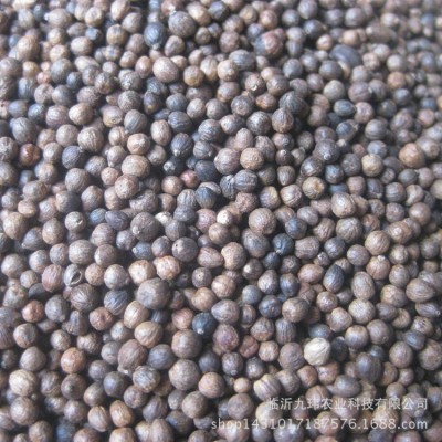 产地去皮黄荆子填充物 除尘抛光布荆子黄荆籽枕头填充物布惊子图2
