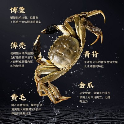 兴化大闸蟹塘口直发精品螃蟹礼盒包装一件也是批发图2