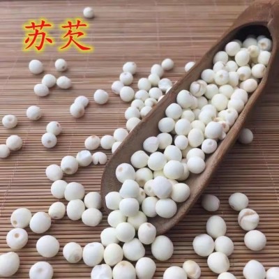 苏州新本地鸡头米100g袋装剥壳苏芡新鲜芡实图4