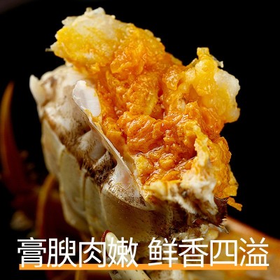 批发现货苏州活体螃蟹精品礼盒六月黄公母鲜活大闸蟹中秋送礼图2