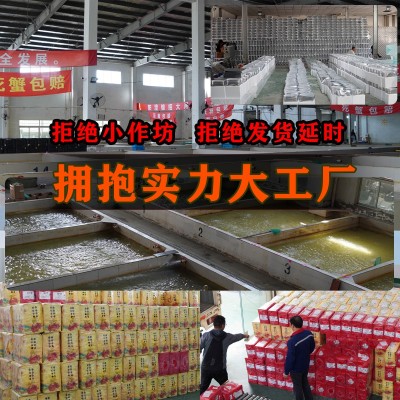 螃蟹鲜活大闸蟹鲜活螃蟹苏州公母蟹代理批发冷链代发礼盒图4