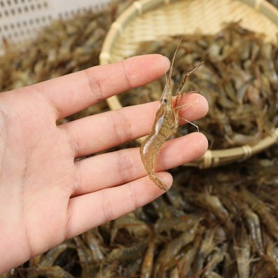 小河虾淡水鲜活冷冻新鲜青虾湖虾水产小虾醉虾小海虾小青虾天然图4