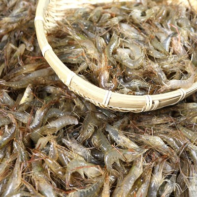 小河虾淡水鲜活冷冻新鲜青虾湖虾水产小虾醉虾小海虾小青虾天然图2