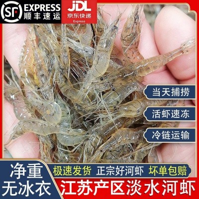 小河虾淡水鲜活冷冻新鲜青虾湖虾水产小虾醉虾小海虾小青虾天然图5