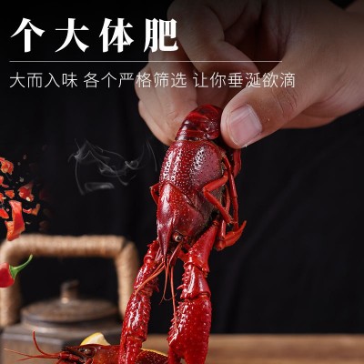 蒜泥小龙虾整虾蒜蓉龙虾冷冻加热即食750g锁鲜盒装小龙虾熟食批发图4