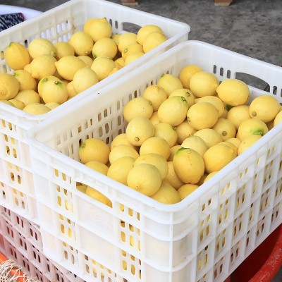 四川安岳柠檬水果新鲜黄柠檬批发优质水果鲜水果一件批发5斤包邮图2