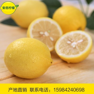 四川安岳柠檬水果新鲜黄柠檬批发优质水果鲜水果一件批发5斤包邮图4