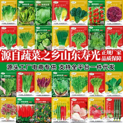 山东寿光蔬菜种子大全批发瓜果种籽源头厂家春夏四季支持一件代发图5