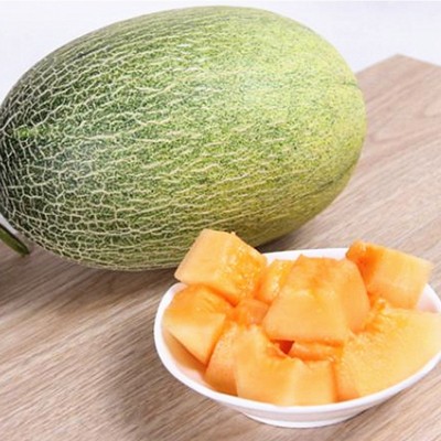海南哈密瓜 代发3/5斤新鲜应季头茬西州蜜甜瓜非黄河蜜当季水果图2