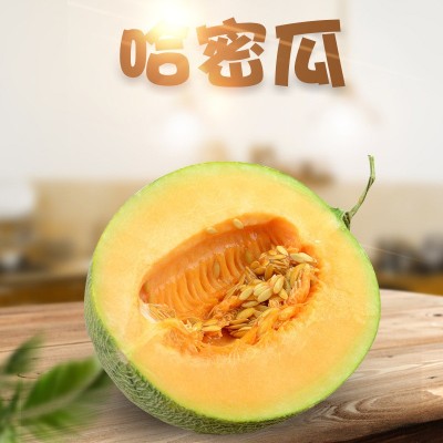 海南哈密瓜 代发3/5斤新鲜应季头茬西州蜜甜瓜非黄河蜜当季水果图5