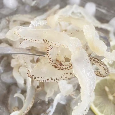 批发即食凉拌菜海蜇丝250g袋装海鲜下饭菜 爽脆海蜇丝源头厂家图3