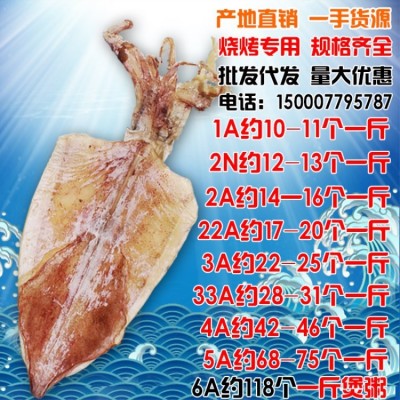 北海特产大号全淡晒手撕酒吧烧烤鱿鱼干海鲜干货产地直销价格实惠图5