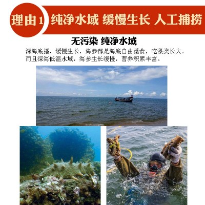 淡干海参小海参干货非野生大连辽刺参即食礼盒装直播代发源头工厂图3