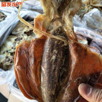 厂家批发血墨鱼小鱼干火锅食材餐饮生鲜水产干货海鲜血墨鱼干货图2