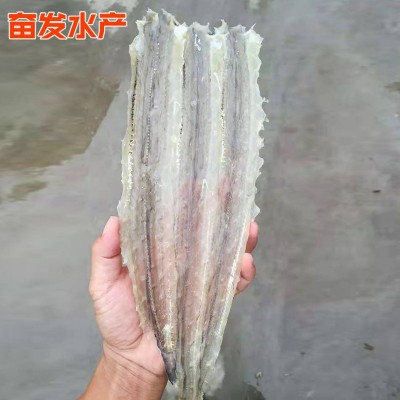烧烤鳗鱼片 鳗鱼干 去骨鳗片海鱼干货 现烤鳗鱼切片深海鱼类海鲜图2