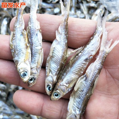 厂家直供 小白条鱼 小鱼片干 超市海鲜 餐饮生鲜 水产干货供应图4