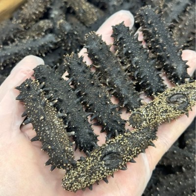 海参干货一斤装纯淡干一级500g辽刺参年货淡干海参大连辽参头数全图4
