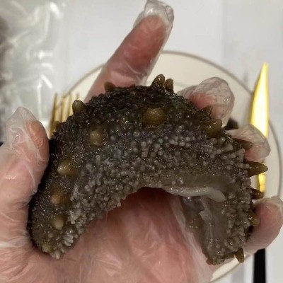 即食海参一斤装国标冷冻鲜食刺参红色透明盒装5-6-8-10头全图2