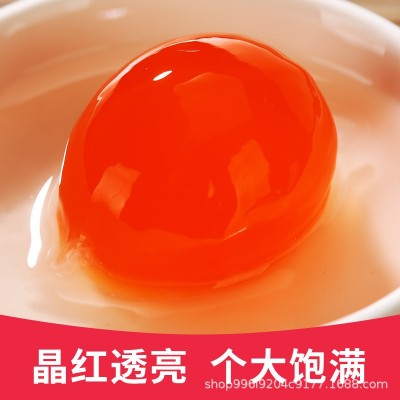中秋节咸蛋黄新鲜咸鸭蛋黄海鸭蛋黄粽子月饼蛋黄酥馅料批发商用图2