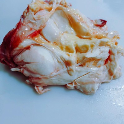 国产新鲜牛前腱清真排酸肥牛系列带筋牛窝骨牛膝盖骨图3