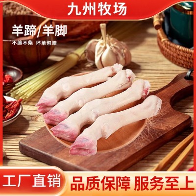 生鲜冷冻羊蹄新鲜生羊蹄子麻辣羊脚商用冻羊脚蹄带皮小羊蹄批发图5