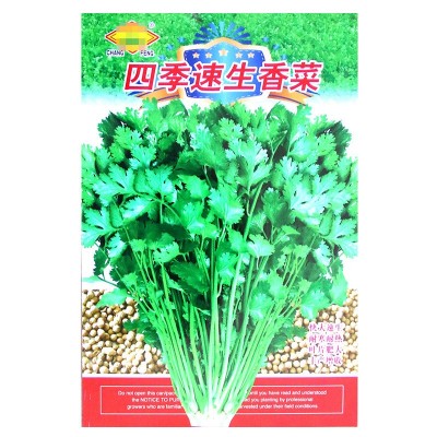 四季速生香菜种子 农田菜园可四季盆栽杂交香味浓香菜蔬菜籽